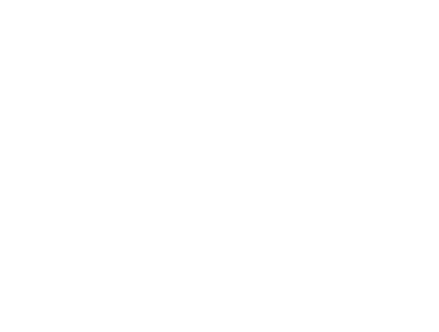 Vflow-white VFLOW Services